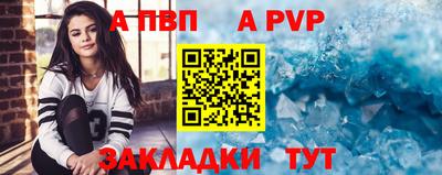 трава Сланцы