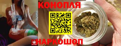 трава Сланцы